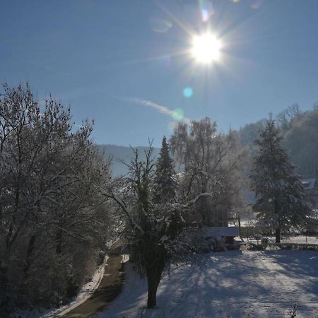 Haus Reichenbach Daire Glottertal Dış mekan fotoğraf