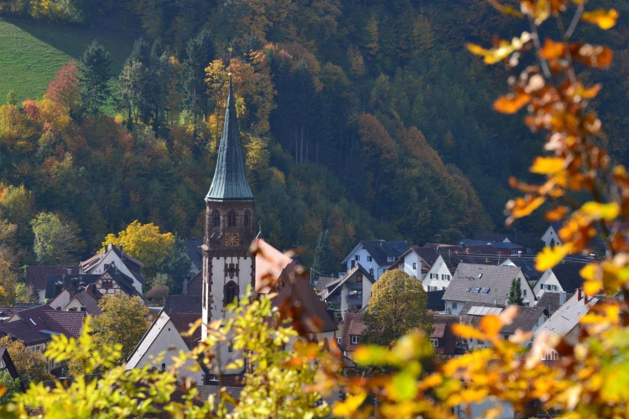 Haus Reichenbach Daire Glottertal Dış mekan fotoğraf