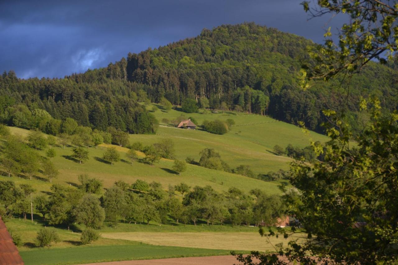 Haus Reichenbach Daire Glottertal Dış mekan fotoğraf